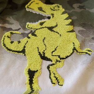 Last Chance! Matching TRex Shirt and Shorts